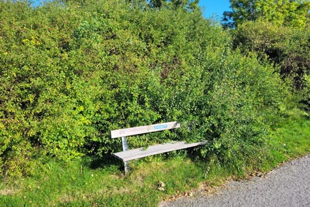 Bänk vid strandpromenad med buskar i bakgrunden