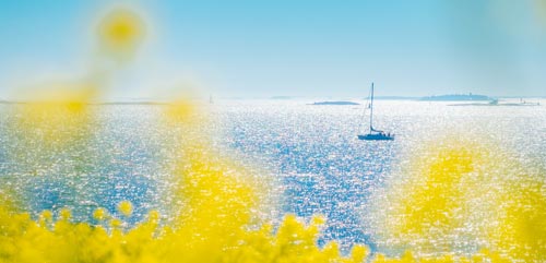 Midsommarfirande