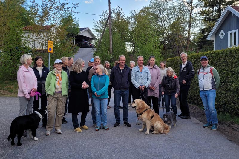 Bänk från sidan med buskar i bakgrunden