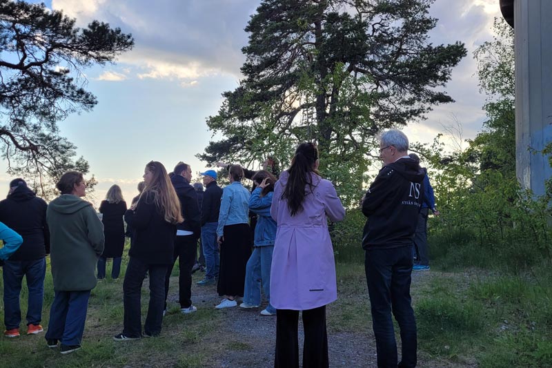 Bänk från sidan med buskar i bakgrunden